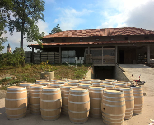 Manastir Fenek Izgradnja vinarije 16